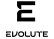 Бренд EVOLUTE
